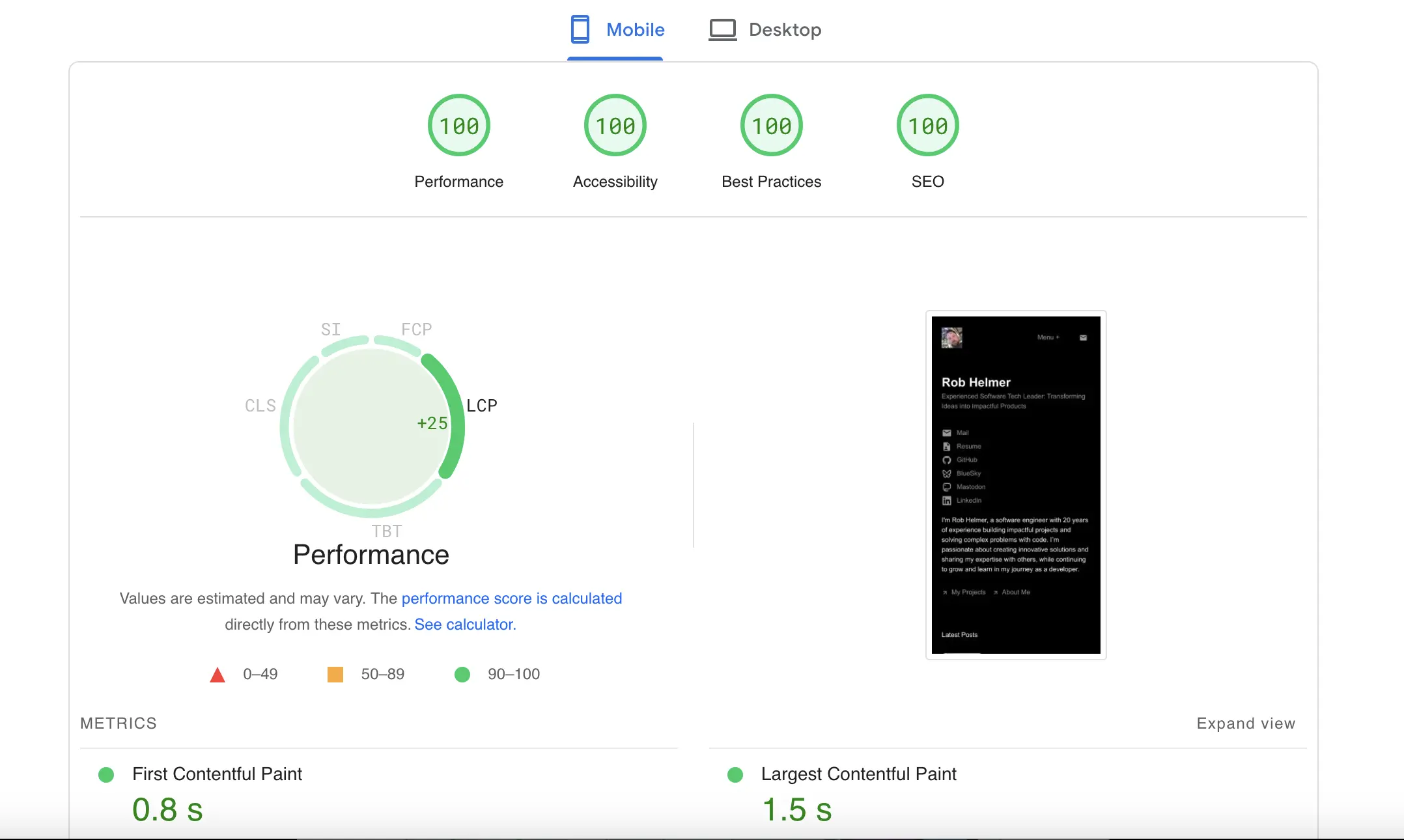 image of page speed results showing 100%